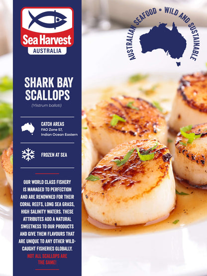 SEA HARVEST SHARK BAY AUSTRALIA FROZEN SCALLOP 10/20 (1 KG)